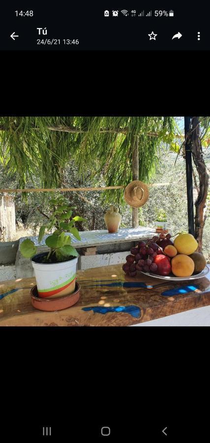 Casa Papi Villa Alcaucín Екстериор снимка